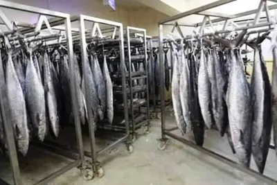 اخبار اليمن الان الشركات الإماراتية بالفرار اليمن وثيقة اخبار اليمن الان الحدث اليوم عاجل