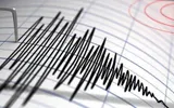 عكاظ اخبار اليمن الان زلزال بقوة درجة يضرب تشيلي اخبار اليمن الان الحدث اليوم عاجل عكاظ