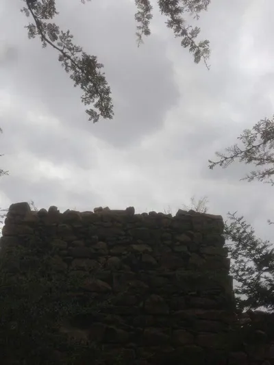 اخبار اليمن الان يحدث اجواء ممطرة بصنعاء اخبار اليمن الان الحدث اليوم عاجل