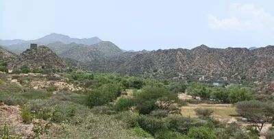 اخبار اليمن الان جماعة الأمر الصادم سيطرتها الأموال اخبار اليمن الان الحدث اليوم عاجل