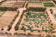 اخبار اليمن الان الحدث اليوم عاجل صدى الساحل