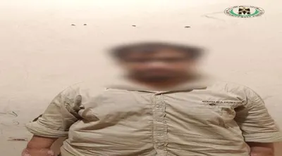 اخبار اليمن الان الحزام الأمني يضبط مخدرات منصورة اخبار اليمن الان الحدث اليوم عاجل
