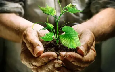 اخبار اليمن الان كيفية التقديم السعودي وموعد الرسمي اخبار اليمن الان الحدث اليوم عاجل
