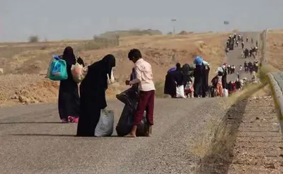 اخبار اليمن الان إطلاق إنسانية لمساندة الأسر النازحة اخبار اليمن الان الحدث اليوم عاجل