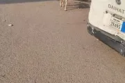 اخبار اليمن الان الحدث اليوم عاجل كريتر إسكاي