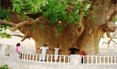 اخبار اليمن الان عمرها تنشطر اليمنية وتثير السكان اخبار اليمن الان الحدث اليوم عاجل