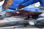 صحيفة المرصد اخبار اليمن الان حصيلة لضحايا اعتداء بالرصاص متظاهرين اخبار اليمن الان الحدث اليوم عاجل صحيفة المرصد