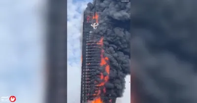 اخبار اليمن الان الرياضة للذكاء الاصطناعي الدماغ الأداء اخبار اليمن الان الحدث اليوم عاجل