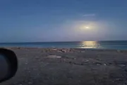 عرب تايم اخبار اليمن الان اخبار وتقارير اغتيال كورنيش الجناة اخبار اليمن الان الحدث اليوم عاجل عرب تايم