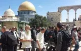 اخبار اليمن الان الحدث اليوم عاجل صحيفة الثورة صنعاء