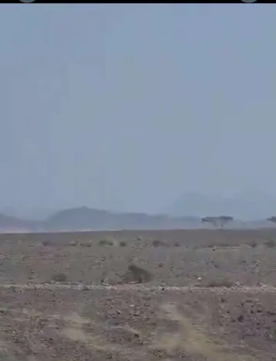 اخبار اليمن الان القوات الحكومية سيطرة الحوثيين مواقعها اخبار اليمن الان الحدث اليوم عاجل
