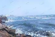 صدى الحقيقة اخبار اليمن الان تحذيرات السباحة بساحل كورنيش عبدالله اخبار اليمن الان الحدث اليوم عاجل صدى الحقيقة