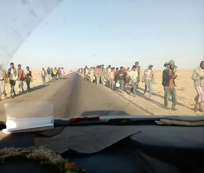 اخبار اليمن الان أعداد كبيرة المهاجرين الشرعيين سواحل اخبار اليمن الان الحدث اليوم عاجل