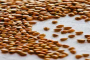 اخبار اليمن الان الحدث اليوم عاجل عرب تايم