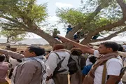 اخبار اليمن الان الحدث اليوم عاجل صدى الساحل