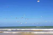 عدن تايم اخبار اليمن الان منع الرحلات البحرية سقطرى تفاصيل اخبار اليمن الان الحدث اليوم عاجل عدن تايم