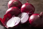 عدن تايم اخبار اليمن الان أغرب معلومة صحية تعلمها اخبار اليمن الان الحدث اليوم عاجل عدن تايم