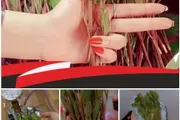 اخبار اليمن الان الحدث اليوم عاجل كريتر إسكاي