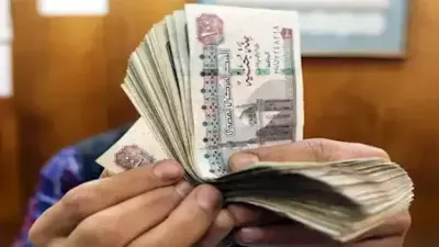 اخبار اليمن الان المولد للعمالة المصرية المنتظمة زيادتها اخبار اليمن الان الحدث اليوم عاجل