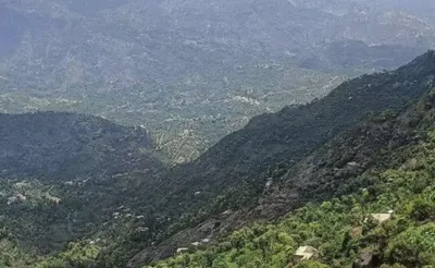 اخبار اليمن الان مواطن برصاص مجهولين السفال بمحافظة اخبار اليمن الان الحدث اليوم عاجل