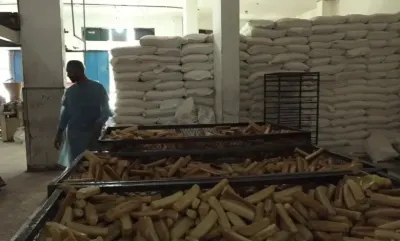 اخبار اليمن الان الجوع حرمانهم مساعدات الغذاء العالمي اخبار اليمن الان الحدث اليوم عاجل