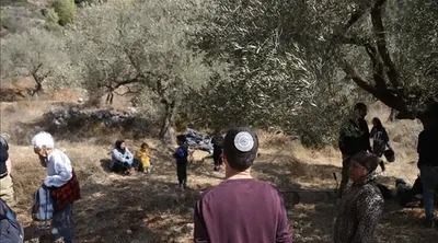 اخبار اليمن الان بمحاسبة المستوطنين اعتدائهم دبلوماسيين أوروبيين اخبار اليمن الان الحدث اليوم عاجل