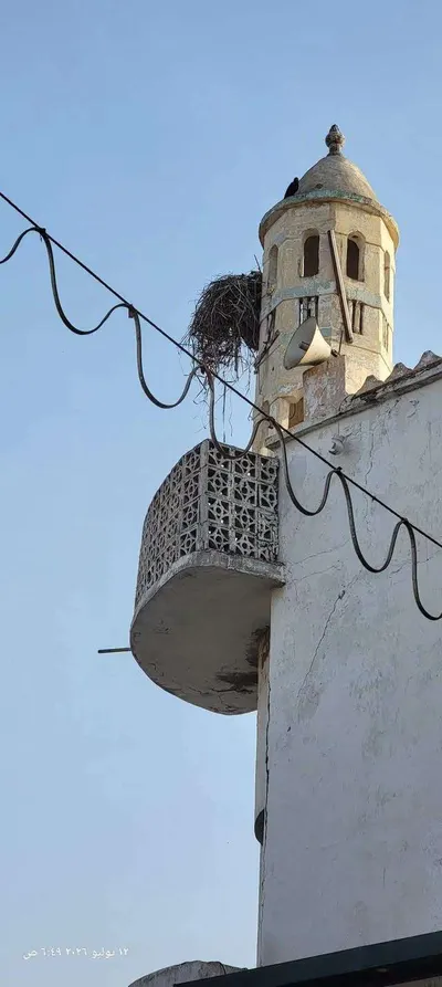 اخبار اليمن الان إزالة الغراب مئذنة النور الشيخ اخبار اليمن الان الحدث اليوم عاجل