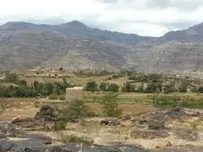 اخبار اليمن الان نهشته الكلاب العثور فقدانه بجواره اخبار اليمن الان الحدث اليوم عاجل