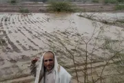 اخبار اليمن الان الحدث اليوم عاجل كريتر إسكاي