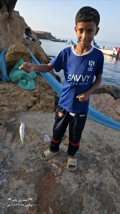 اخبار اليمن الان المكلا يتحول ويصطاد غنيمته الجميع اخبار اليمن الان الحدث اليوم عاجل