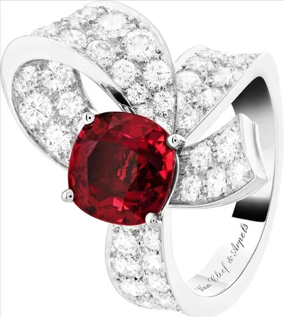 اخبار اليمن الان سوليتير arpels boucle الفخامة والبساطة اخبار اليمن الان الحدث اليوم عاجل