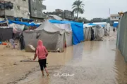 اخبار اليمن الان الحدث اليوم عاجل وكالة الصحافة اليمنية