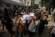 صحيفة الثورة صنعاء اخبار اليمن الان استشهاد طالبة فلسطينية صهيونية لمدينة اخبار اليمن الان الحدث اليوم عاجل صحيفة الثورة صنعاء