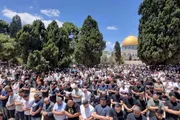 وكالة الصحافة اليمنية اخبار اليمن الان الآلاف الفلسطينيين الجمعة المسجد الأقصى اخبار اليمن الان الحدث اليوم عاجل وكالة الصحافة اليمنية