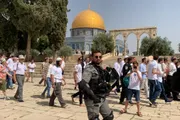 سام برس اخبار اليمن الان عشرات المستعمرين يقتحمون المسجد الأقصى اخبار اليمن الان الحدث اليوم عاجل سام برس
