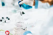 اخبار اليمن الان الحدث اليوم عاجل السلام نيوز