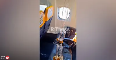اخبار اليمن الان مستشار الطاولة بفكاهة بأسلوب إعلامي اخبار اليمن الان الحدث اليوم عاجل