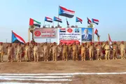 عدن تايم اخبار اليمن الان القوات تسعى الأمن والقانون العاصمة اخبار اليمن الان الحدث اليوم عاجل عدن تايم