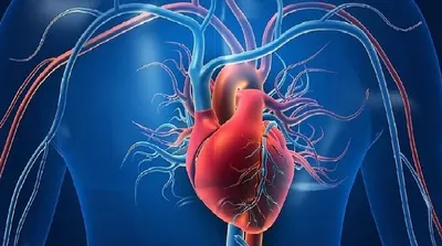 اخبار اليمن الان استشاري يحذر صدمات الحياة القلب اخبار اليمن الان الحدث اليوم عاجل