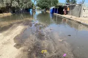 صحيفة الثورة صنعاء اخبار اليمن الان الكارثة الإنسانية والصحية وانتشار الأوبئة اخبار اليمن الان الحدث اليوم عاجل صحيفة الثورة صنعاء