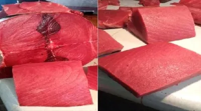 اخبار اليمن الان أسعار الأسماك الخميس العاصمة 2025م اخبار اليمن الان الحدث اليوم عاجل