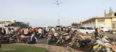 اخبار اليمن الان استمرار المواشي زنجبار المواطنين وتحذيرات اخبار اليمن الان الحدث اليوم عاجل