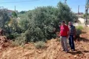 صحيفة الثورة صنعاء اخبار اليمن الان مستوطنون يعتدون ممتلكات الفلسطينيين والخليل اخبار اليمن الان الحدث اليوم عاجل صحيفة الثورة صنعاء