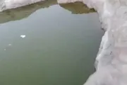 صدى الساحل اخبار اليمن الان الضالع وفاة وجدتها بمديرية العود اخبار اليمن الان الحدث اليوم عاجل صدى الساحل
