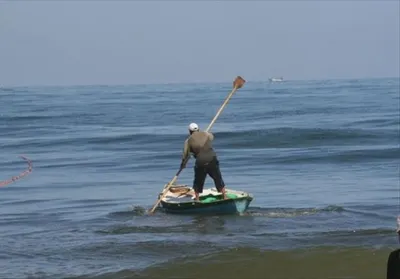 اخبار اليمن الان للصيادين اضطرابات السواحل الغربية والبحر اخبار اليمن الان الحدث اليوم عاجل