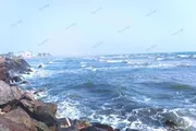 صحيفة المرصد اخبار اليمن الان مأسـ العثور قبالة سواحل الكود اخبار اليمن الان الحدث اليوم عاجل صحيفة المرصد