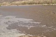 كريتر إسكاي اخبار اليمن الان تدفق سيل بيحان الجمعة صورة اخبار اليمن الان الحدث اليوم عاجل كريتر إسكاي