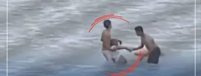 اخبار اليمن الان صورة للبطل ضحى بنفسه لانقاذ اخبار اليمن الان الحدث اليوم عاجل