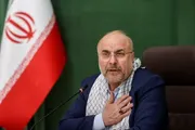 اخبار اليمن الان الحدث اليوم عاجل وكالة الصحافة اليمنية
