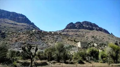 اخبار اليمن الان مقتل وإصابة أشخاص اشتباكات أسرتين اخبار اليمن الان الحدث اليوم عاجل